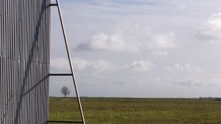 BEET & SUGAR BLUES ou la liberté sortant du trou, Dérives pour temps de crise