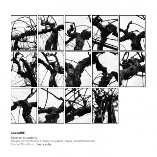 Calvaire (Ordeal)
