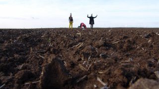 BEET & SUGAR BLUES ou la liberté sortant du trou, Dérives pour temps de crise