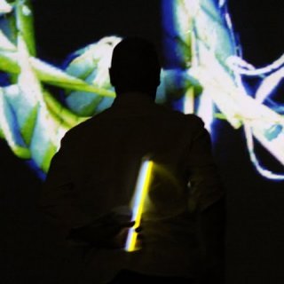 Under stars...exactly!