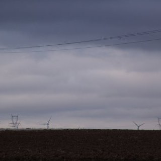 BEET & SUGAR BLUES ou la liberté sortant du trou, Dérives pour temps de crise