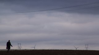 BEET & SUGAR BLUES ou la liberté sortant du trou, Dérives pour temps de crise