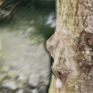 Après le verbe (after the verbe)