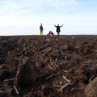 BEET & SUGAR BLUES ou la liberté sortant du trou, Dérives pour temps de crise