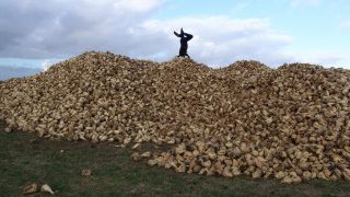 BEET & SUGAR BLUES ou la liberté sortant du trou, Dérives pour temps de crise