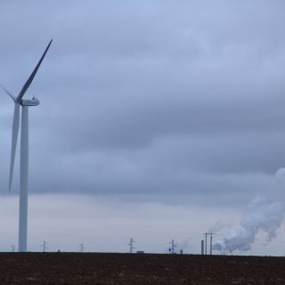 BEET & SUGAR BLUES ou la liberté sortant du trou, Dérives pour temps de crise