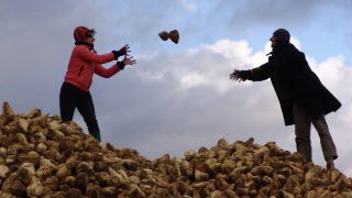 BEET & SUGAR BLUES ou la liberté sortant du trou, Dérives pour temps de crise