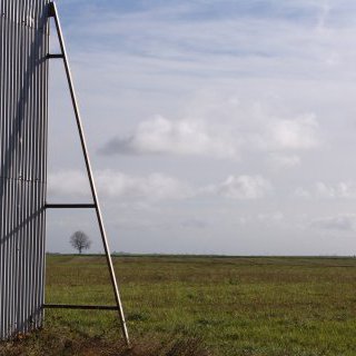 BEET & SUGAR BLUES ou la liberté sortant du trou, Dérives pour temps de crise