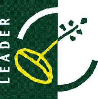 Programme Leader